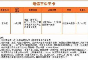 新澳门王中王天天开彩结果|解析关键问题的重要性与实施策略_恢复款.1.561