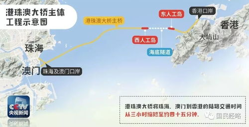 澳门三肖三淮100淮|探索生活中的小技巧_WP版.6.938
